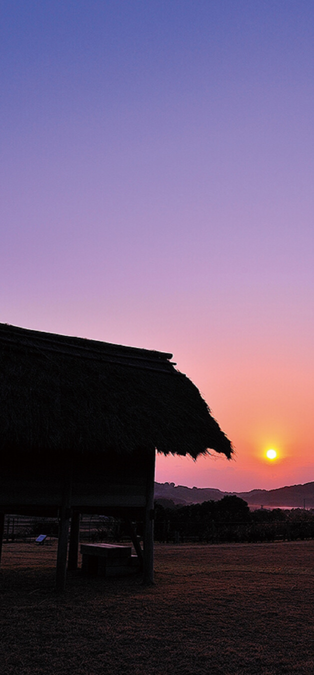 スライダー画像